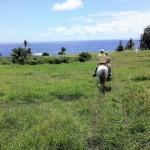 horseback riding tour