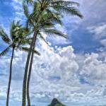 Mokoli'i Island