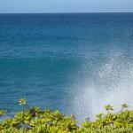 Kohala Coast Splash