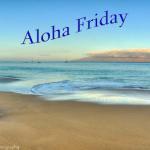 aloha-friday-kelly-wade-photography.jpg