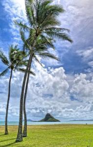 Oahu coast