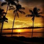 Missagh-Rajaei-photo-from-Lanai.jpg