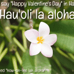 happy-valentines-hawaiian.png