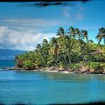 napili maui