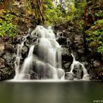 Kalihi Ice Ponds photo by Myk Salonga Photography