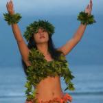 Hawaiian Hula Dancer