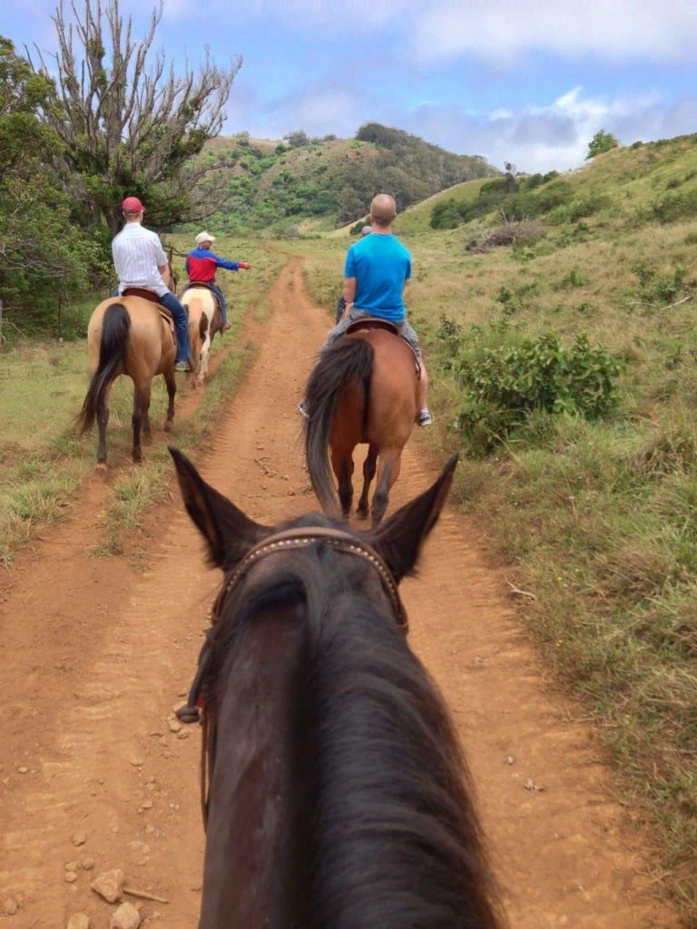 Horseback riding in Makawao with Pi'iholo Ranch