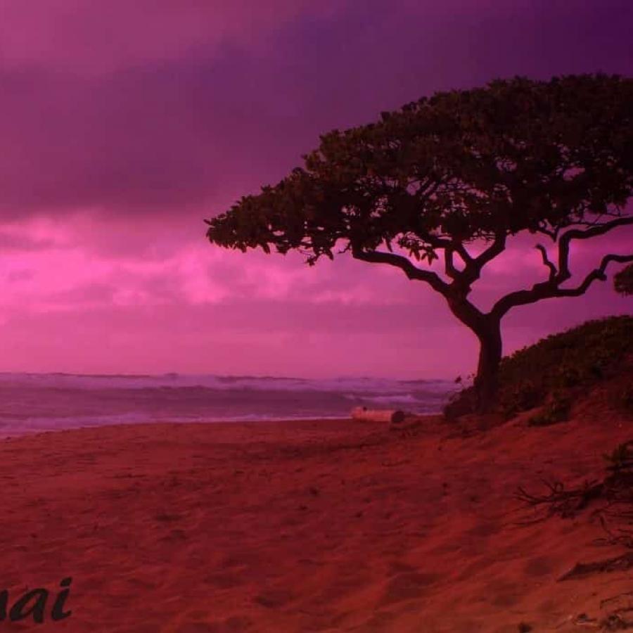 Aloha Friday Photo Kauai Sunset in Magical Magenta Go Visit Hawaii