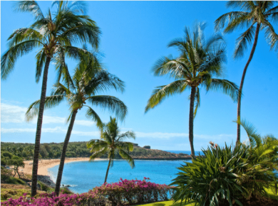 When is the Best Time to Visit Hawaii? Weather, Prices, Crowds...