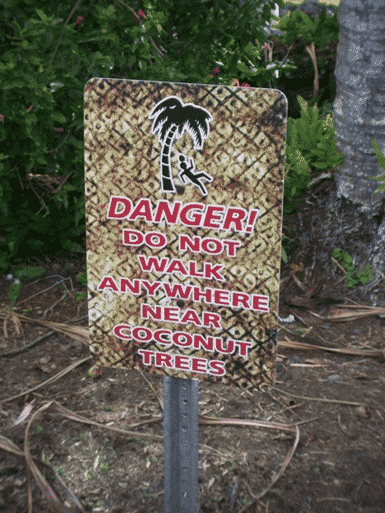 Signs of Hawaii: Coconut Tree Warning - Go Visit Hawaii
