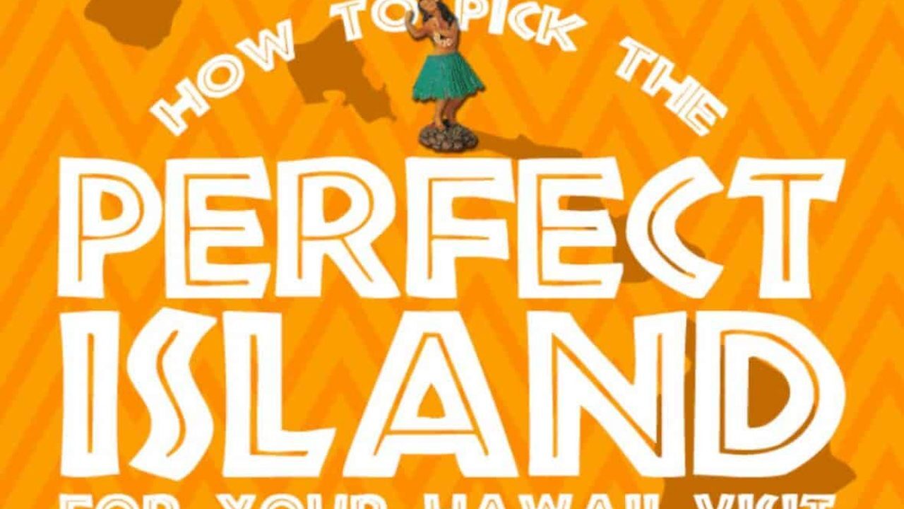 amateur 2003 adult luau