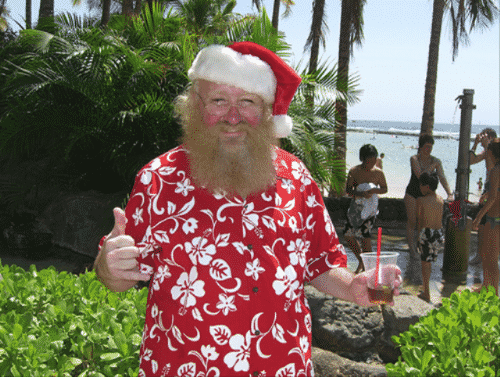 hawaiian santa costume