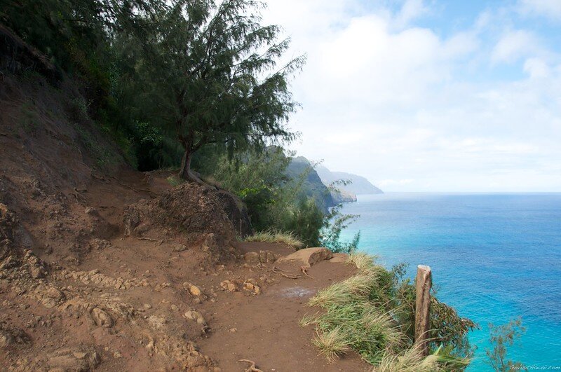 safe hawaii travel