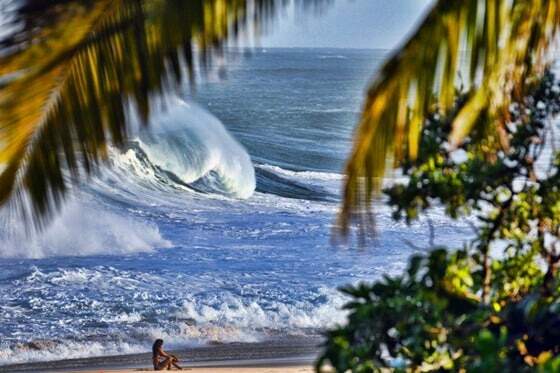 576634_2760949672136_1509655386_31810910_900657069_n