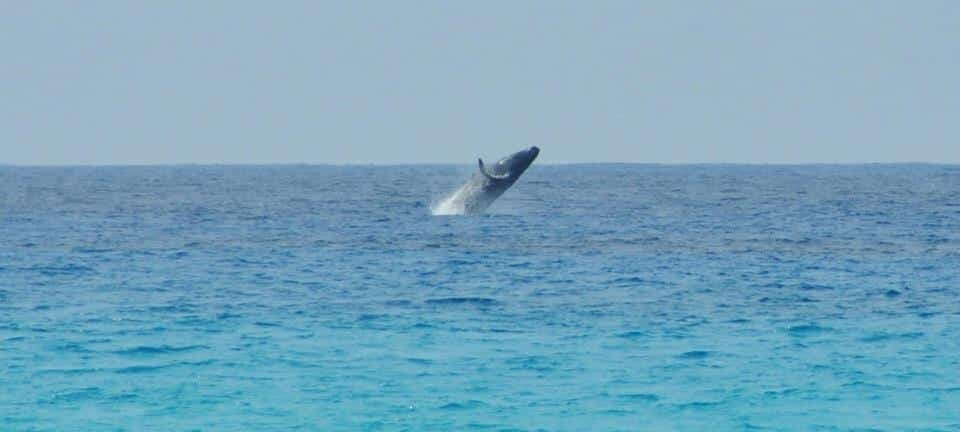 72322_10200396831617339_1080445677_n