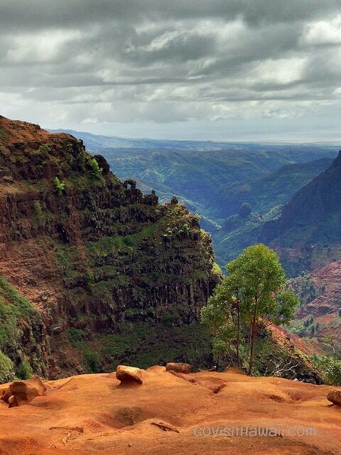 Waimea Canyon Hiking Trails Hike The Waimea Cliff/Canyon Trails On Kauai - Go Visit Hawaii