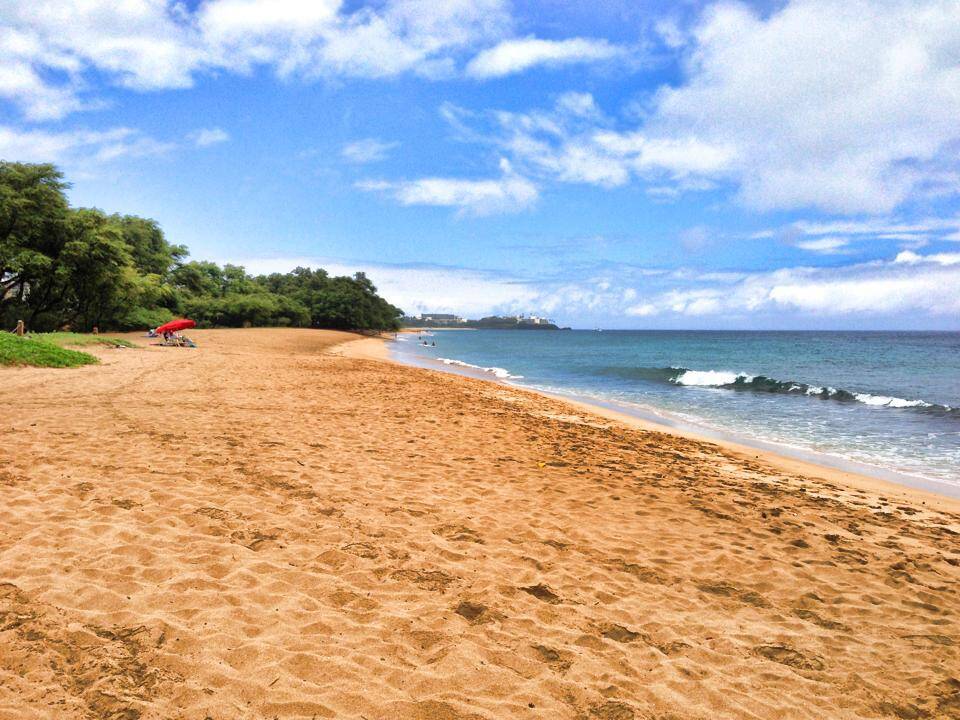 Back From Maui Go Visit Hawaii Back From Maui Go Visit Hawaii
