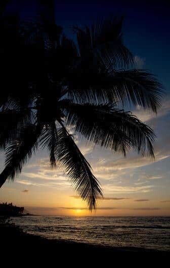 602018_4839955083185_1492533397_n