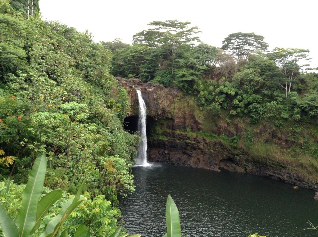 1266362_10151937135398974_1844189147_o