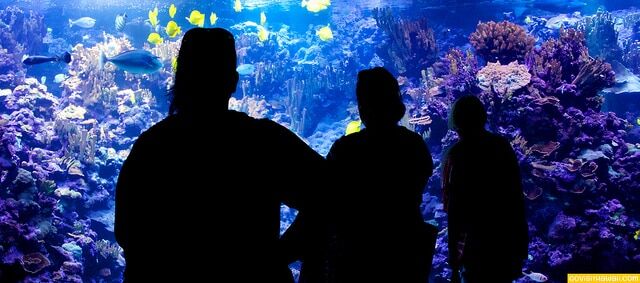 8738255291_3cb7c32d53_z