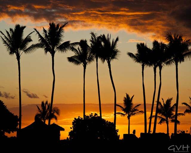 6189880429_323f1cec13_z