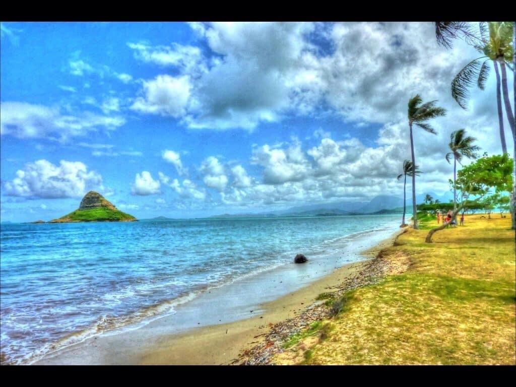 photo by Dave Sturdy