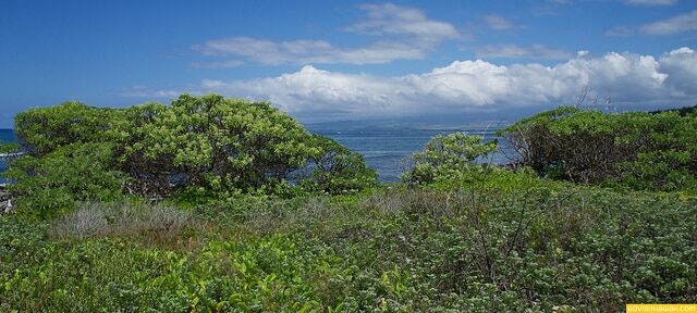 8739367372_8f9b1504a6_z