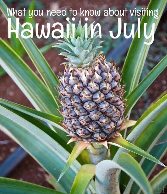 is july good to visit hawaii