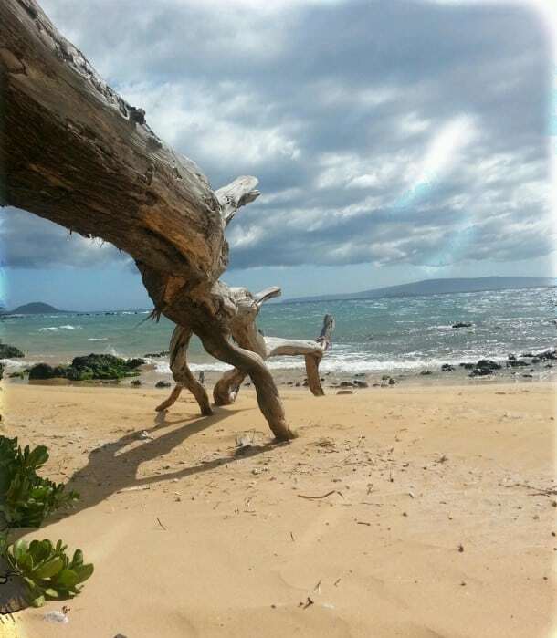 10147938_385243384948708_918167150_o