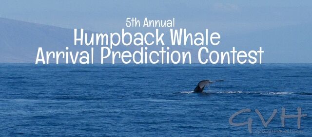 2014 whale prediction contest