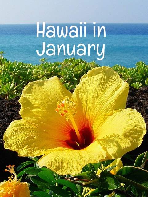 What To Know About A January Vacation In Hawaii Go Visit Hawaii