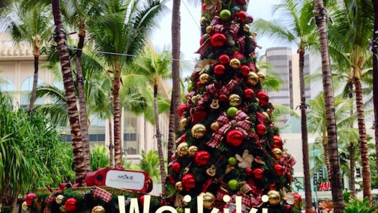 Waikiki Christmas Events Dining 2020 Go Visit Hawaii