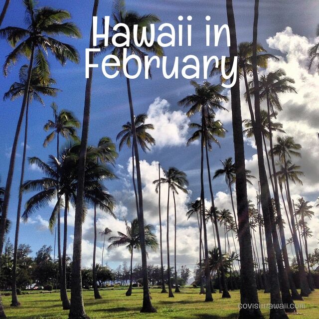 is it better to visit hawaii in january or february