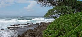Molokai Plumeria Farm Tour Molokai Plumeria Farm Tour