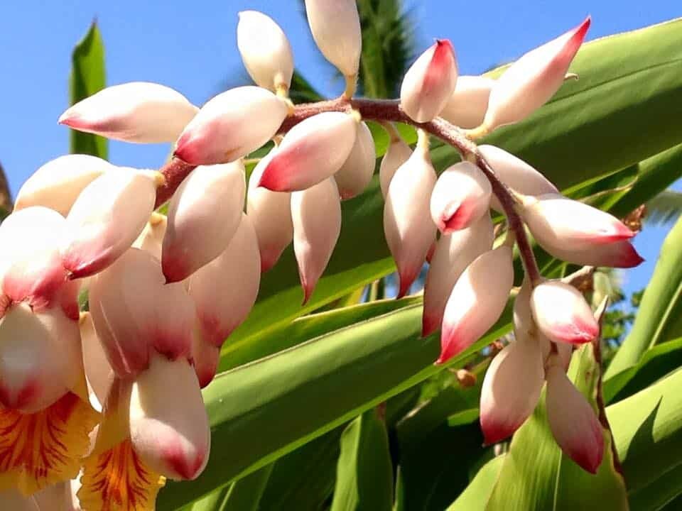 11393187_10204289461017350_7488688475633538032_n