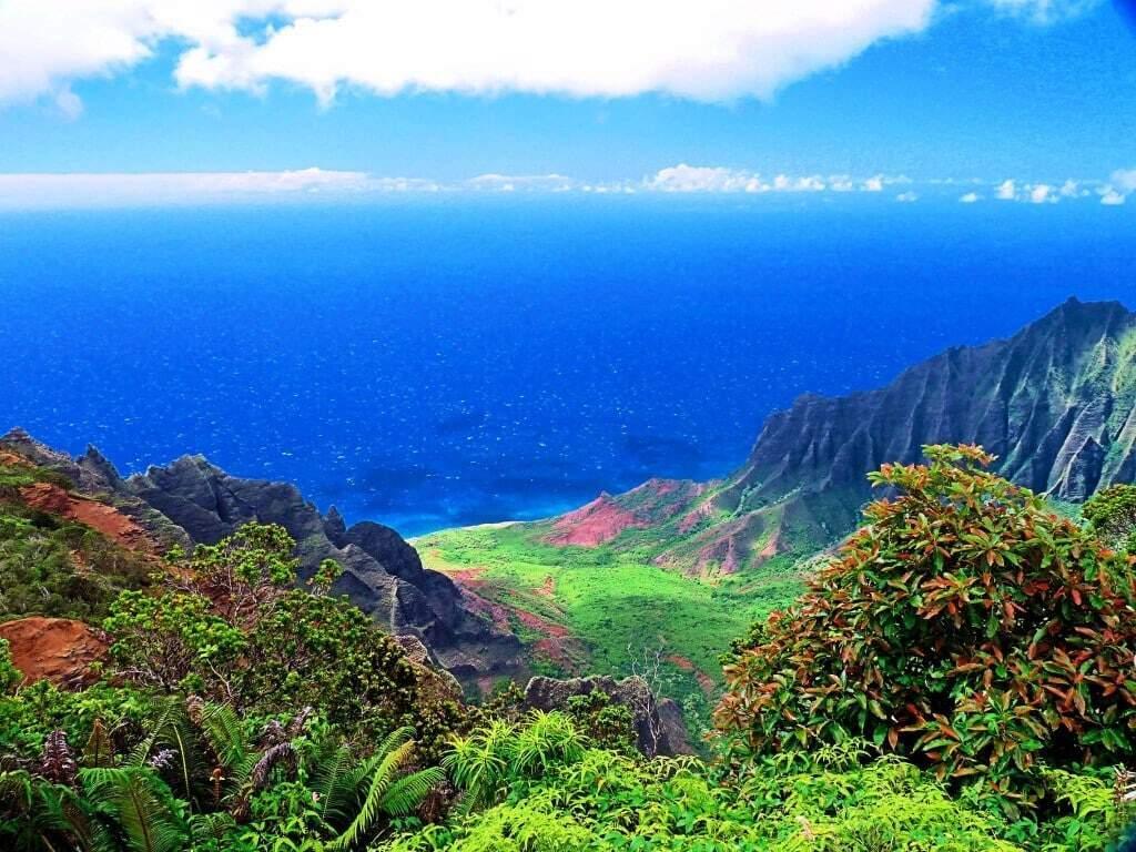 1796088_1007371132620946_2273438972434174046_o