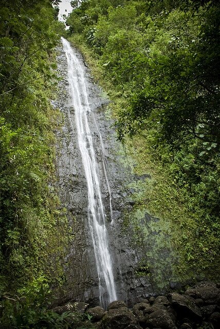 Manoa Falls