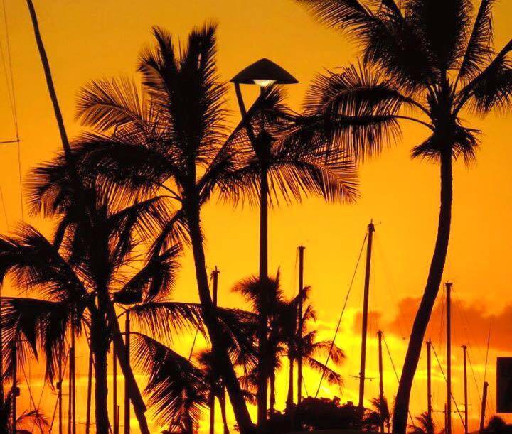 11887841_10153601563562990_7693098360547764572_n