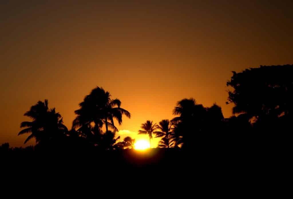 12113293_10206944447517411_8265034307937153640_o