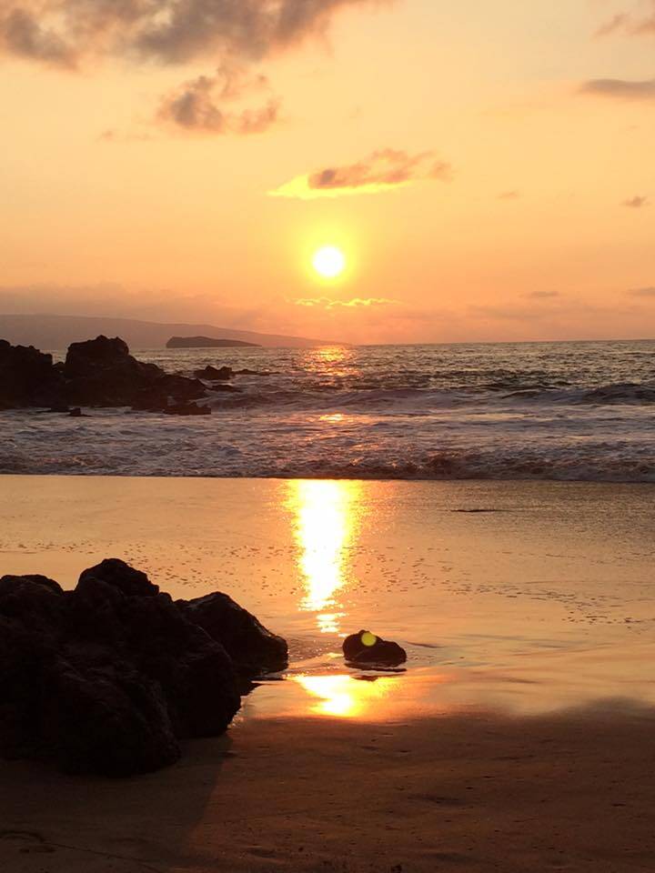 1918975_10205691135777573_7570877669188371334_n