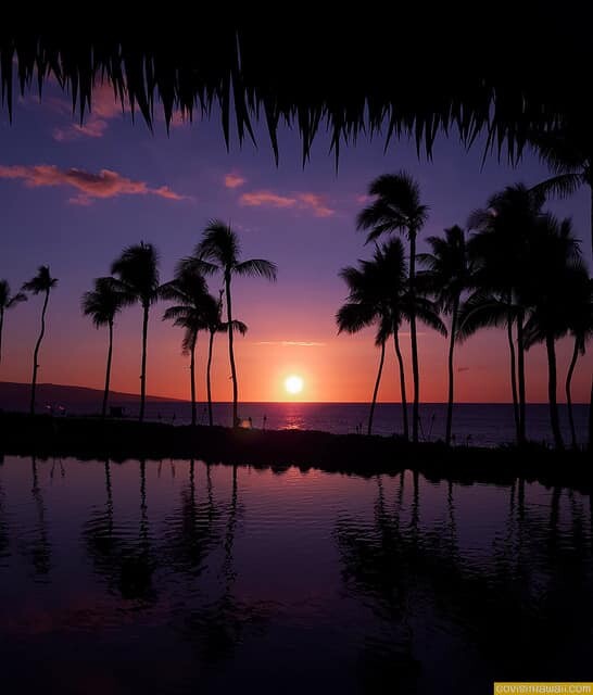 24805398415_f111c707a7_z