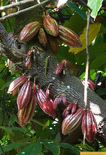 23047706306_daf9d2ee7a_z