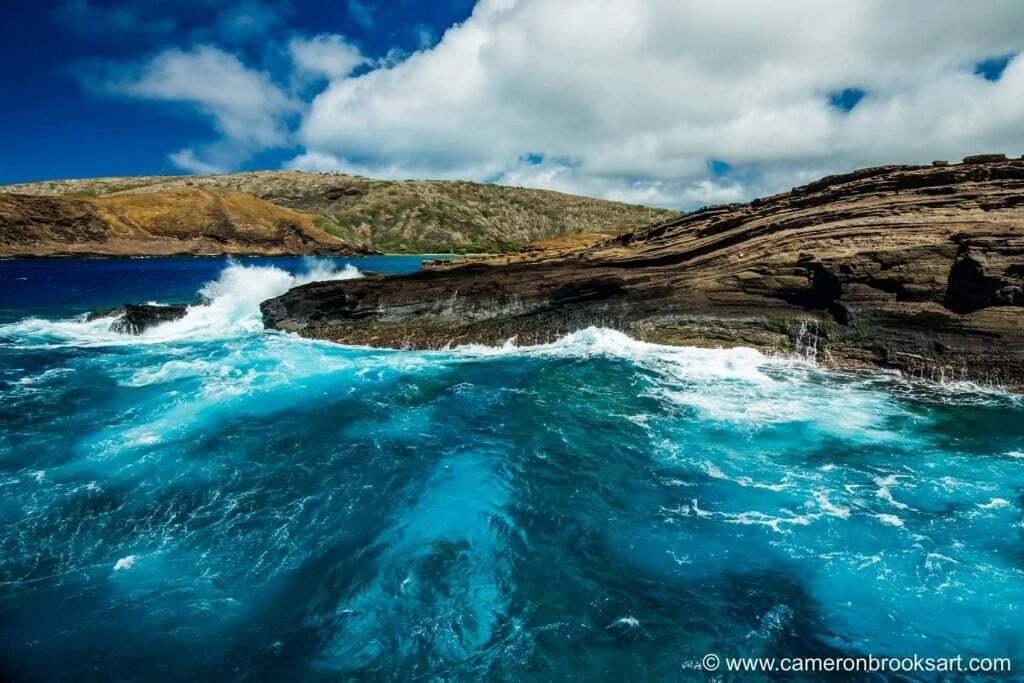 13422411_10154317162079525_8960152668428268300_o