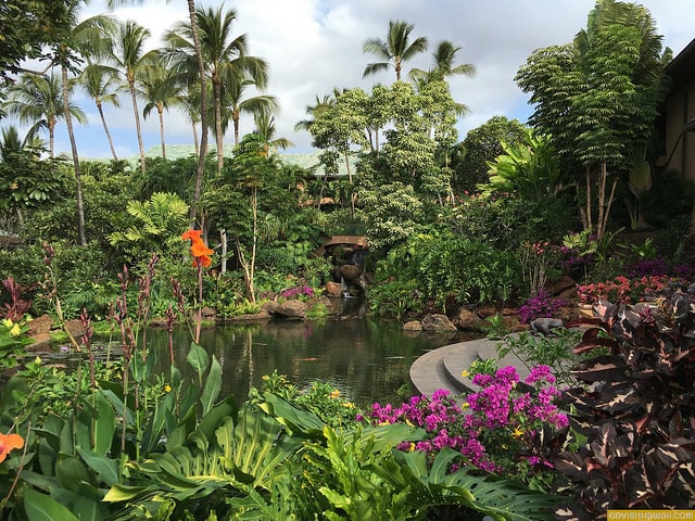 Bloom Kauai