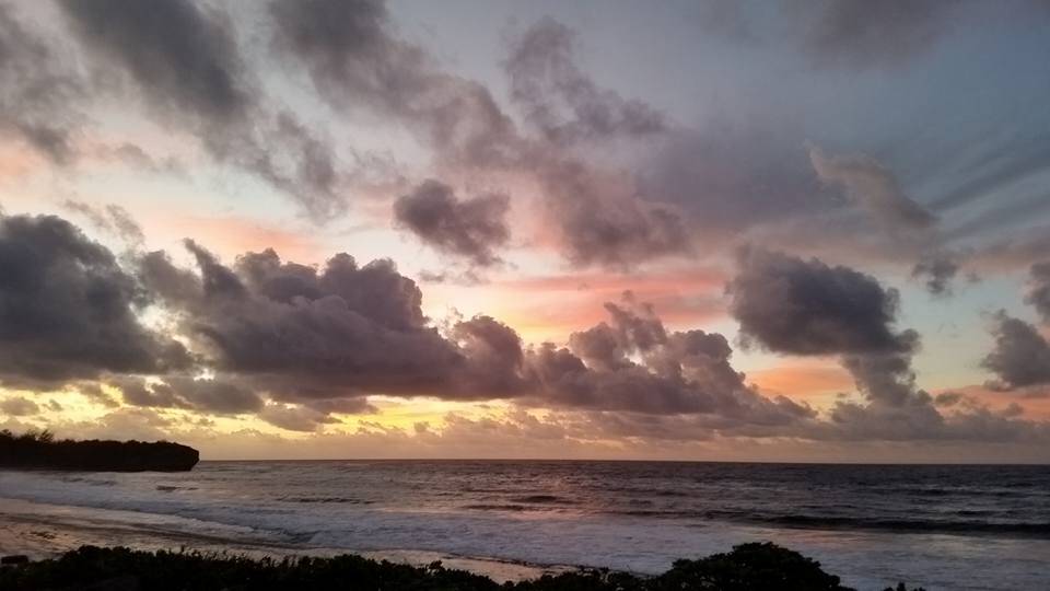 1897950_10209221259633550_4173752551790734387_n