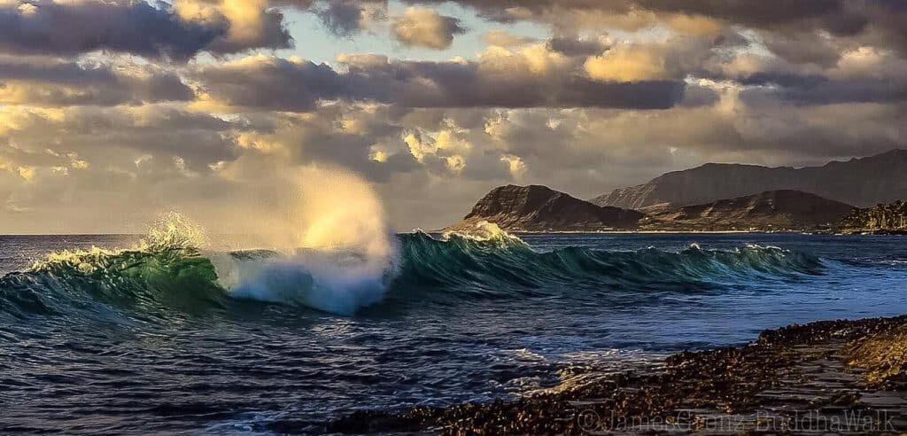 14991085_1140563052695809_5616944992475177611_o