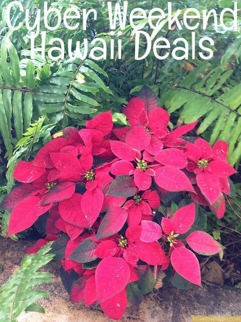 16004465132_8186d97ed8_z