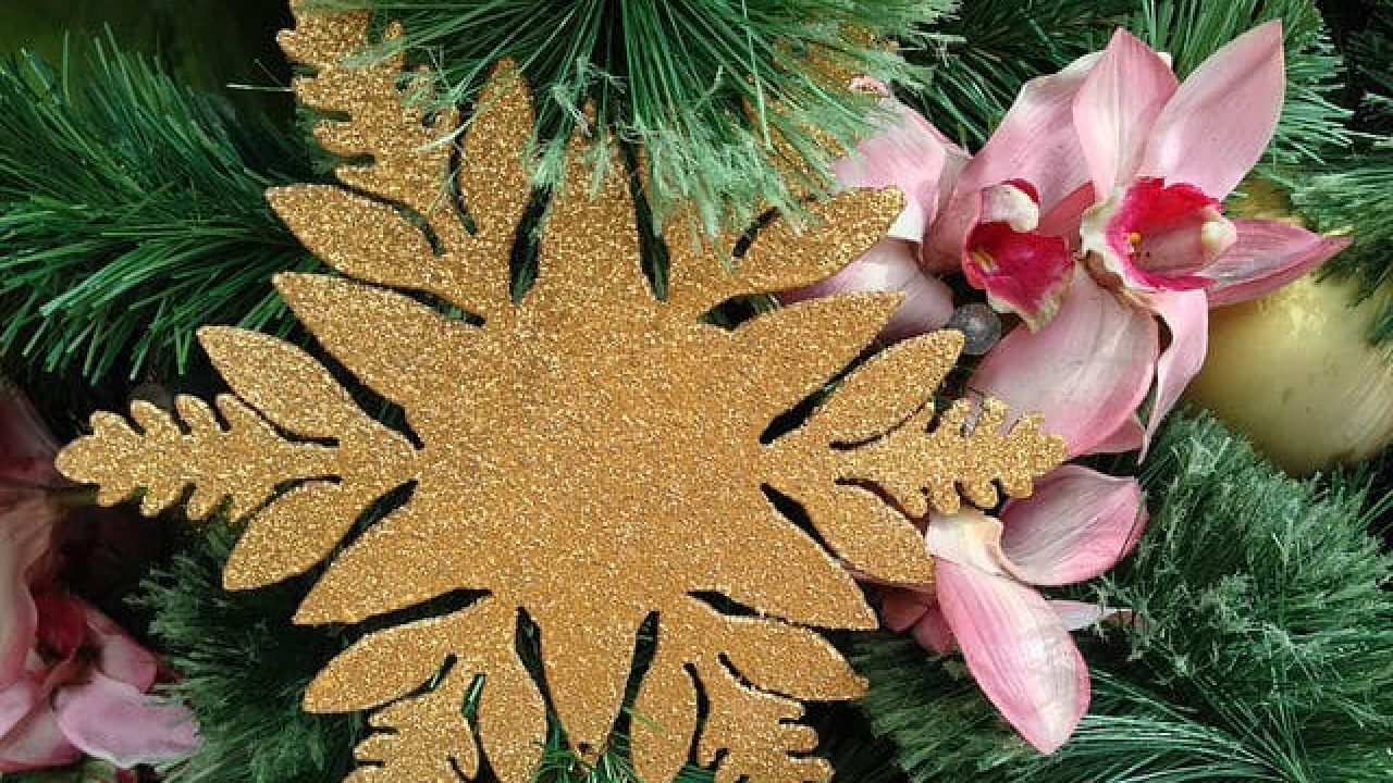 Hawaiian Style Christmas Trees And Decorations Photos Go Visit