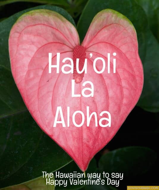 Happy valentines day in hawaiian