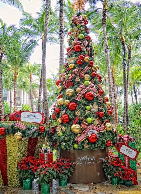  Christmas  decorations  in Hawaii 